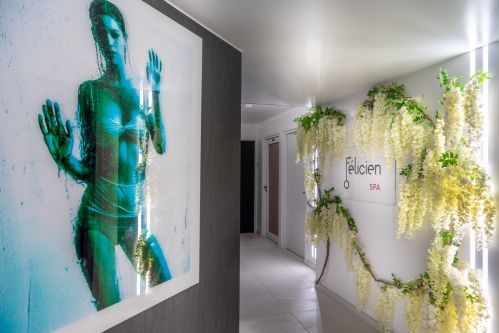 Hôtel Félicien by Elegancia パリ - スパ